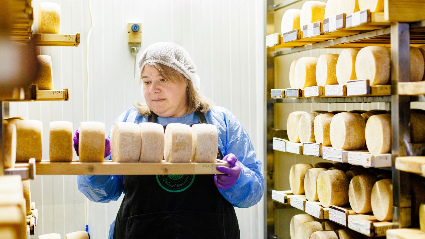 woman putting away cheese