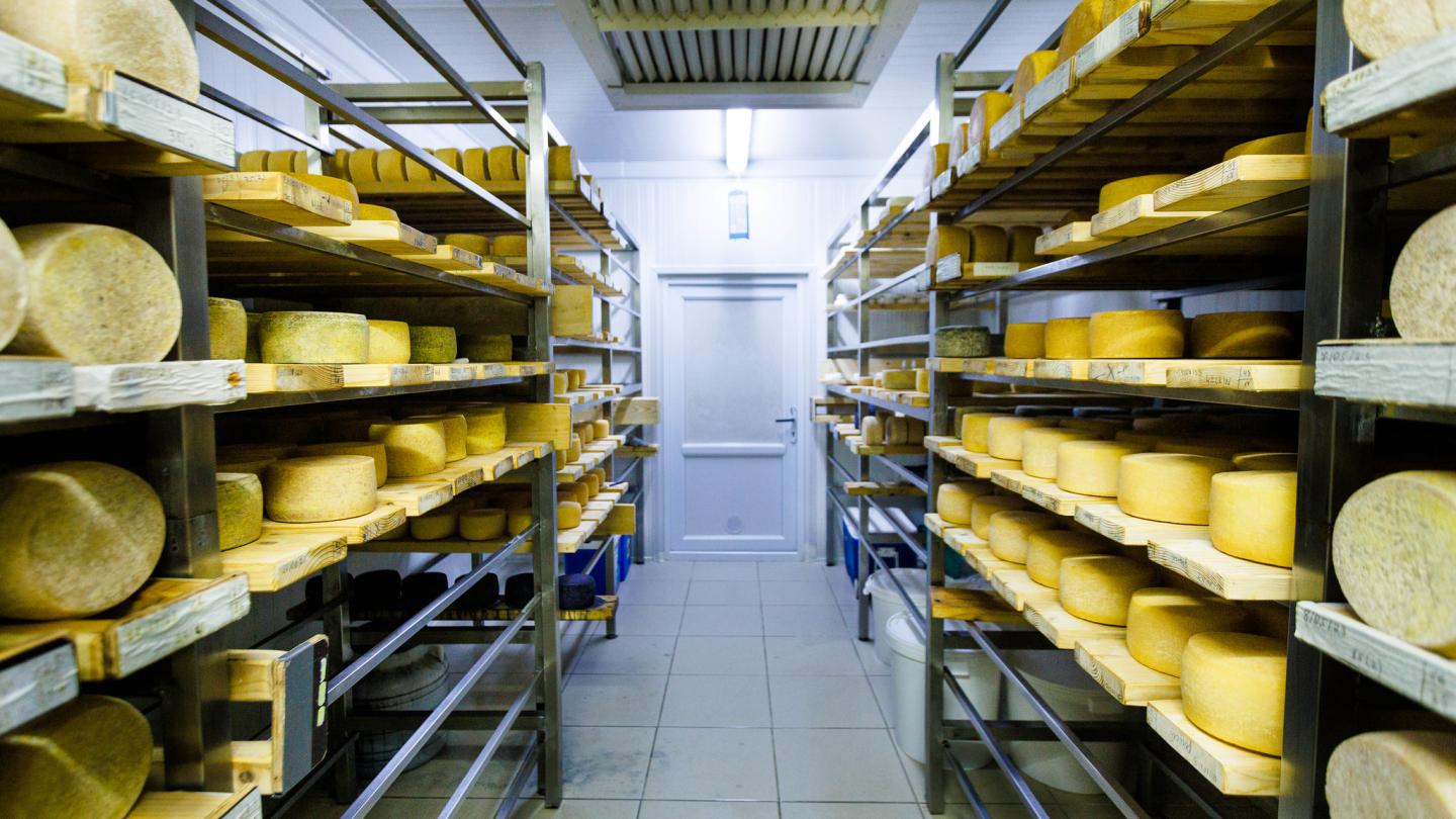 cheese on shelves