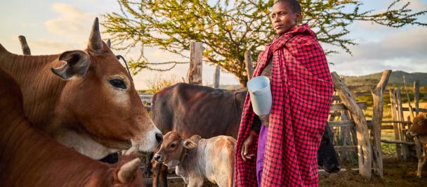 Person in tradition dress stands with cattle