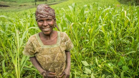 a person in a green field